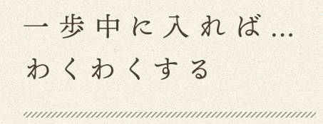 一歩中に入れば…わくわくする