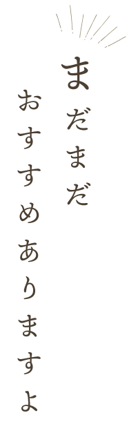 まだまだおすすめありますよ